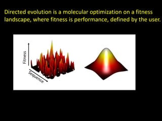 Directed evolution is a molecular optimization on a fitness
landscape, where fitness is performance, defined by the user.
Fitness
 