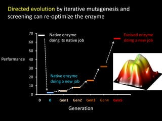 Performance
Generation
0
10
20
30
40
50
60
70
0 1 2 3 4 5 6 7
0 0 Gen1 Gen2 Gen3 Gen4 Gen5
Directed evolution by iterative mutagenesis and
screening can re-optimize the enzyme
Evolved enzyme
doing a new job
Native enzyme
doing its native job
Native enzyme
doing a new job
 