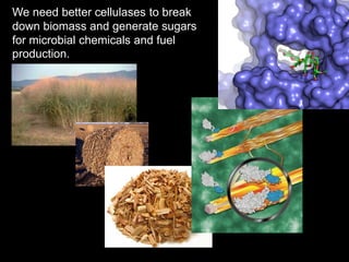 We need better cellulases to break
down biomass and generate sugars
for microbial chemicals and fuel
production.
 