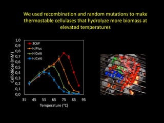 We used recombination and random mutations to make
thermostable cellulases that hydrolyze more biomass at
elevated temperatures
0,0
0,1
0,2
0,3
0,4
0,5
0,6
0,7
0,8
0,9
1,0
35 45 55 65 75 85 95
Cellobiose(mM)
Temperature (ºC)
3C6P
HJPlus
HICel6
HJCel6
 