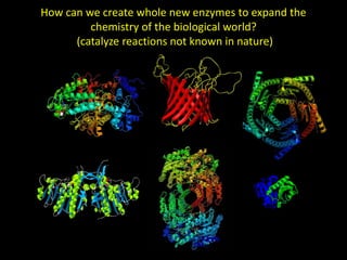 How can we create whole new enzymes to expand the
chemistry of the biological world?
(catalyze reactions not known in nature)
 