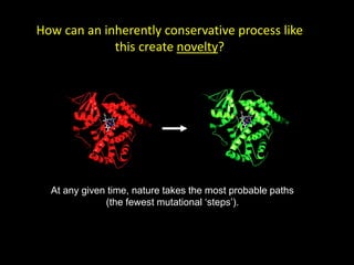 How can an inherently conservative process like
this create novelty?
At any given time, nature takes the most probable paths
(the fewest mutational ‘steps’).
 