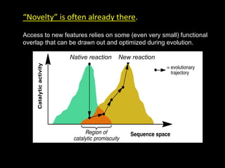 “Novelty” is often already there.
Access to new features relies on some (even very small) functional
overlap that can be drawn out and optimized during evolution.
Native reaction New reaction
 