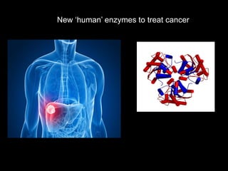 New ‘human’ enzymes to treat cancer
 
