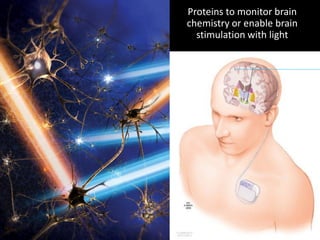 Proteins to monitor brain
chemistry or enable brain
stimulation with light
 