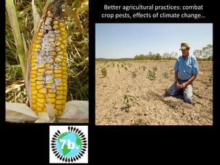 Better agricultural practices: combat
crop pests, effects of climate change…
 