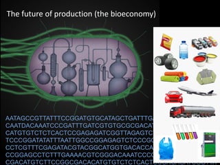 Fe
O
S
Cys
+
Fe
C
S
Cys
RR
AATAGCCGTTATTTCCGGATGTGCATAGCTGATTTGACCCATCCGGTACAC
CAATDACAAATCCCGATTTGATCGTGTGCGCGACATGTCTTCCGGCGACA
CATGTGTCTCTCACTCCGAGAGATCGGTTAGAGTCTCGGTTAACCACACG
TCCCGGATATATTTAATTGGCCGGAGAGTCTCCCGCGCGACATAAGGAGT
CCTCGTTTCGAGATACGTACGGCATGGTGACACCAGTTGCCCTCTGATTC
CCGGAGCCTCTTTGAAAACGTCGGGACAAATCCCGATTTGATCGTGTGCG
CGACATGTCTTCCGGCGACACATGTGTCTCTCACTCCGAGAGATCGGTTA
The future of production (the bioeconomy)
 