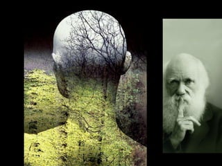 Millennium Technology Prize Winner Frances Arnold 25.5.2016