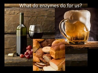 What do enzymes do for us?
 