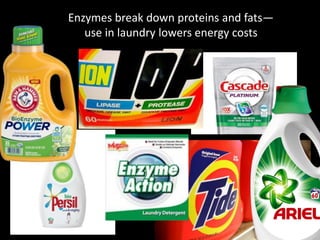 Enzymes break down proteins and fats—
use in laundry lowers energy costs
 