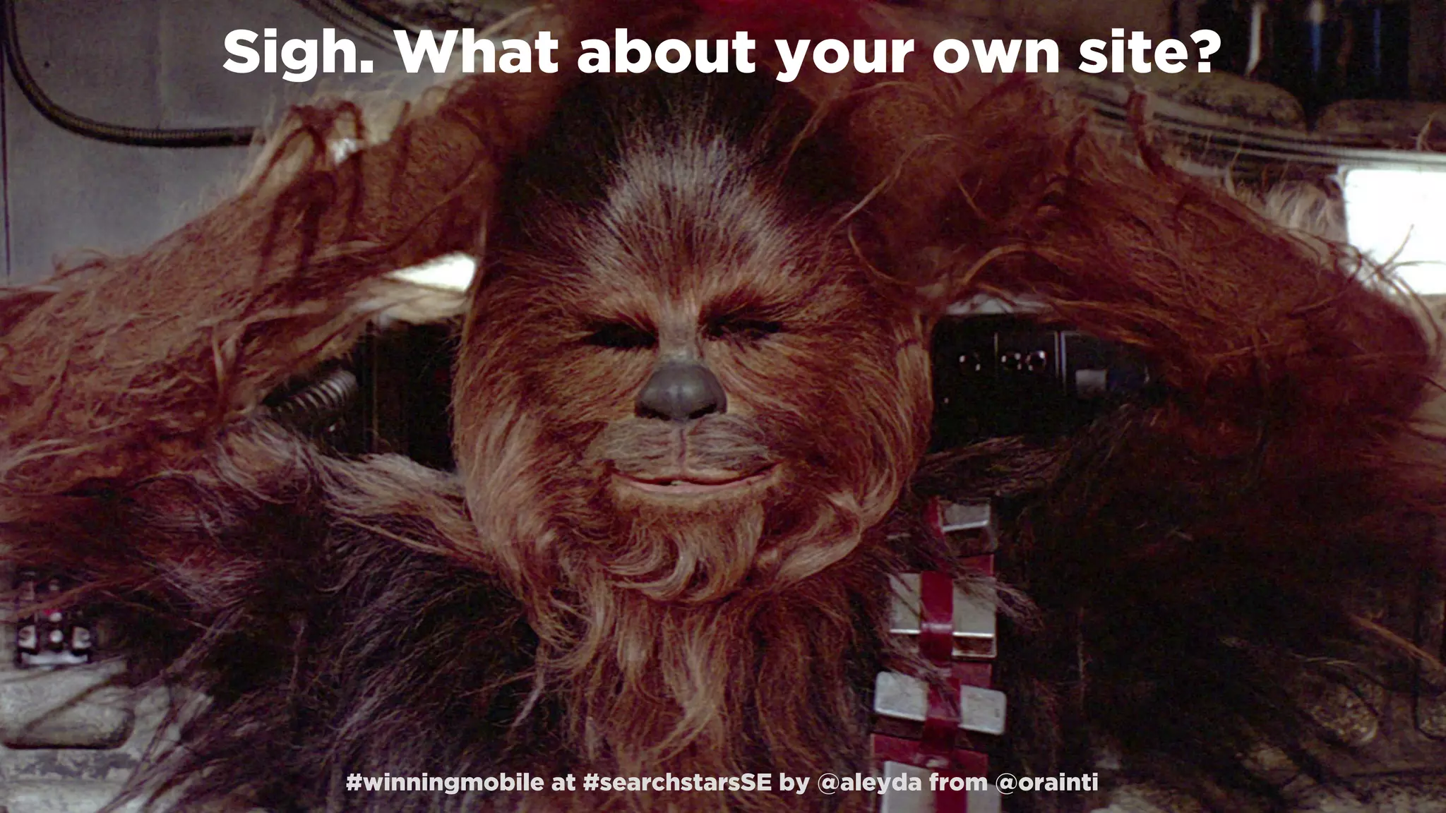 #winningmobile at #searchstarsSE by @aleyda from @orainti
Sigh. What about your own site?
#winningmobile at #searchstarsSE by @aleyda from @orainti
 