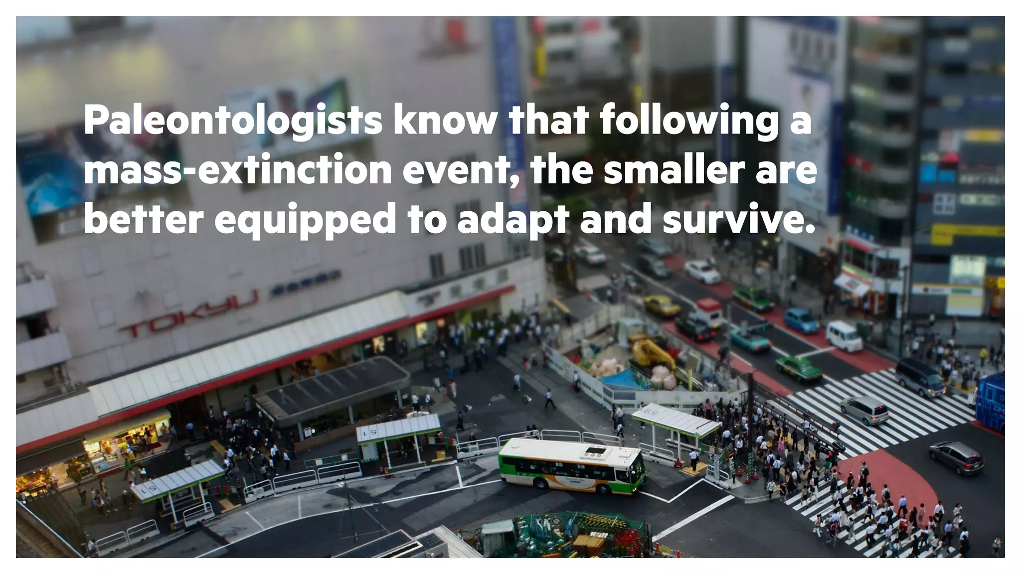 Paleontologists know that following a
mass-extinction event, the smaller are
better equipped to adapt and survive.
 