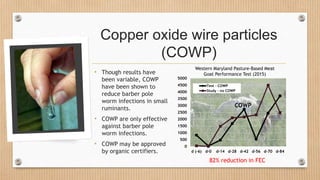 Copper oxide wire particles
(COWP)
• Though results have
been variable, COWP
have been shown to
reduce barber pole
worm infections in small
ruminants.
• COWP are only effective
against barber pole
worm infections.
• COWP may be approved
by organic certifiers.
0
500
1000
1500
2000
2500
3000
3500
4000
4500
5000
d (-6) d-0 d-14 d-28 d-42 d-56 d-70 d-84
Test - COWP
Study - no COWP
COWP
Western Maryland Pasture-Based Meat
Goat Performance Test (2015)
82% reduction in FEC
 