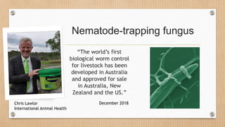 Nematode-trapping fungus
“The world’s first
biological worm control
for livestock has been
developed in Australia
and approved for sale
in Australia, New
Zealand and the US.”
December 2018Chris Lawlor
International Animal Health
 