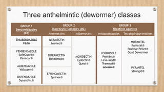Three anthelmintic (dewormer) classes
GROUP 1
Benzimidazoles
(BZ)
GROUP 2
Macrocylic lactones (ML)
GROUP 3
Nicotinic agonists
Avermectins Milbemycins Imidazothiazoles Tetrahydropyrimidines
THIABENDAZOLE
TBZ®
IVERMECTIN
Ivomec®
MOXIDECTIN
Cydectin®
Quest®
LEVAMISOLE
Prohibit®
Leva-Med®
Tramisol®
Levasol®
MORANTEL
Rumatel®
Positive Pellet®
Goat DewormerFENBENDAZOLE
SafeGuard®
Panacur®
DORAMECTIN
Dectomax®
PYRANTEL
Strongid®
ALBENDAZOLE
Valbazen®
EPRINOMECTIN
Eprinex®OXFENDAZOLE
Synanthic®
 