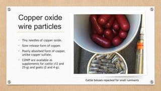 Copper oxide
wire particles
• Tiny needles of copper oxide.
• Slow release form of copper.
• Poorly absorbed form of coppe...