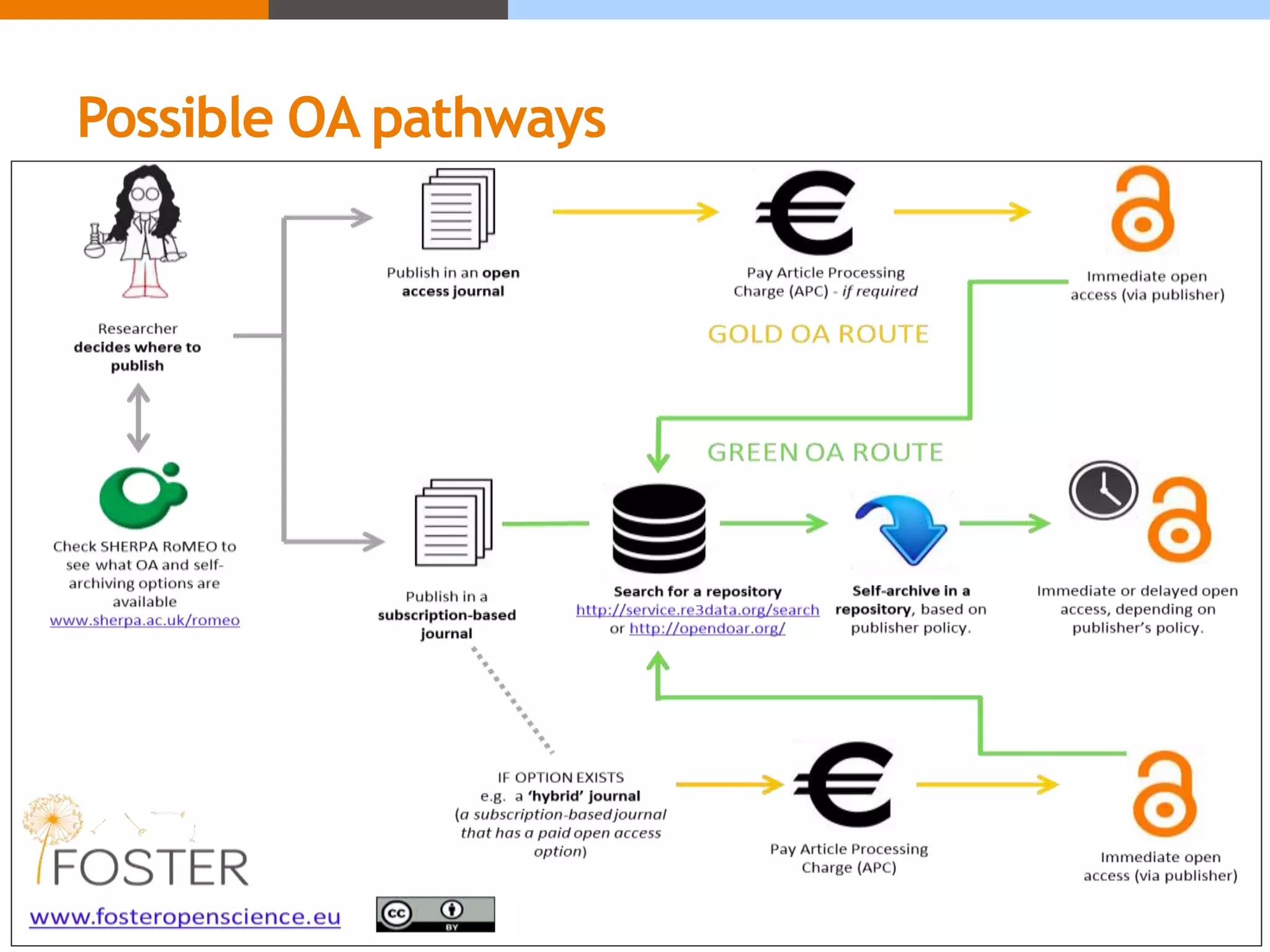 Possible OA pathways
 