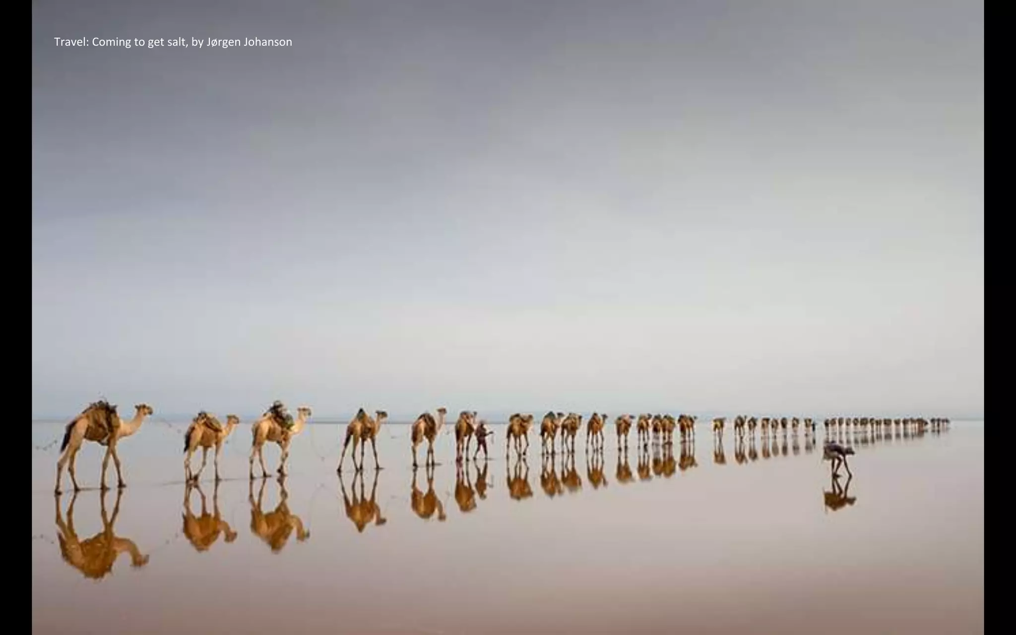 Travel: Coming to get salt, by Jørgen Johanson
 