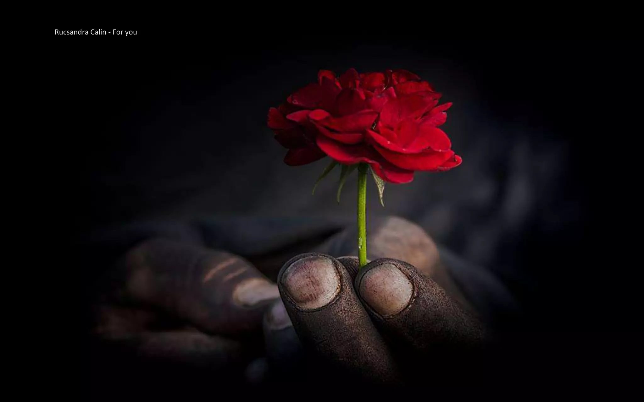 Rucsandra Calin - For you
 