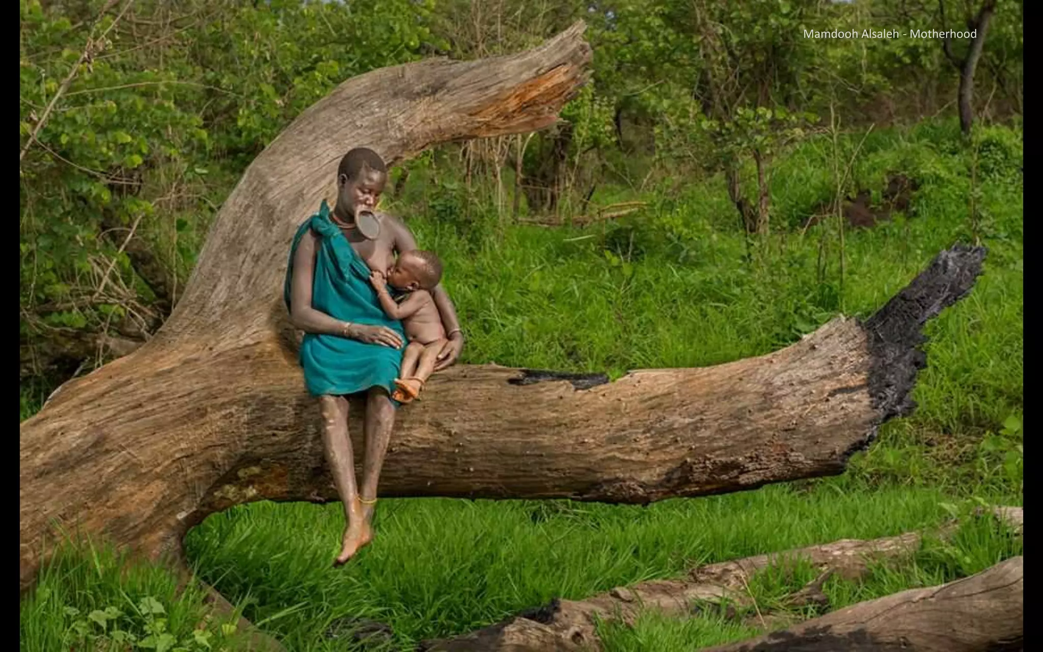 Mamdooh Alsaleh - Motherhood
 