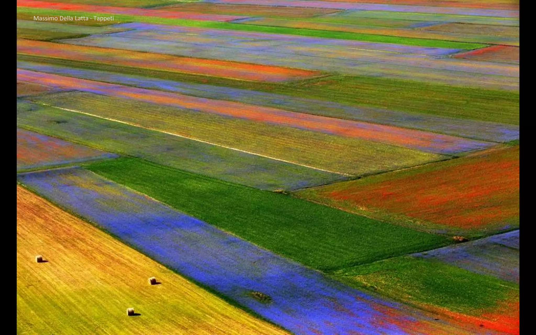 Massimo Della Latta - Tappeti
 