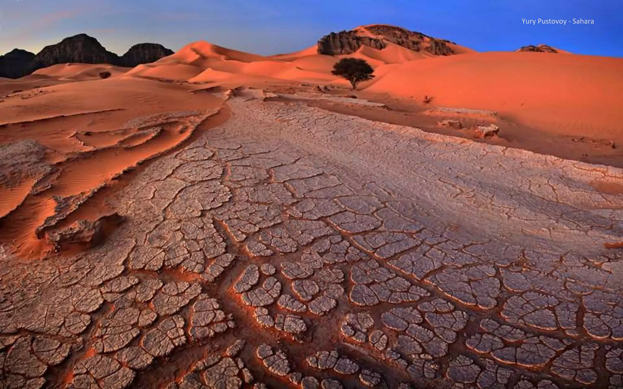 Yury Pustovoy - Sahara
 