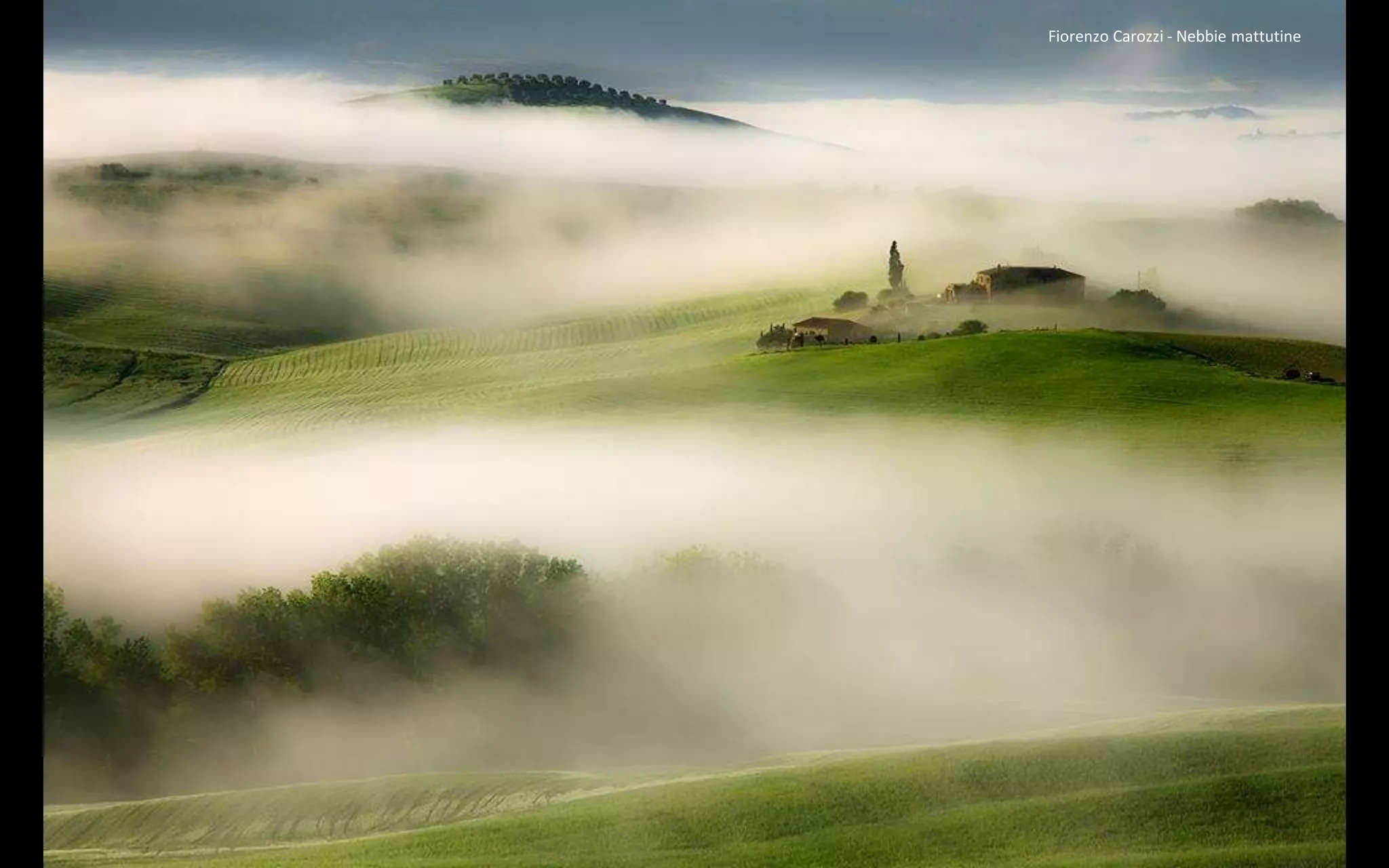 Fiorenzo Carozzi - Nebbie mattutine
 