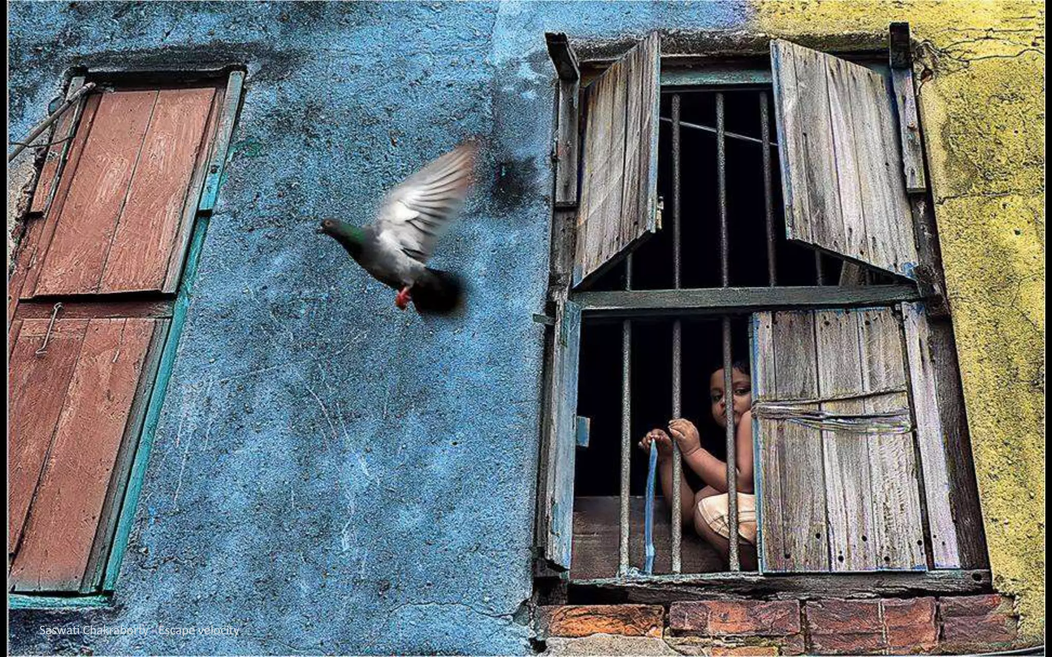 Saswati Chakraborty - Escape velocity
 