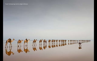 Travel: Coming to get salt, by Jørgen Johanson
 