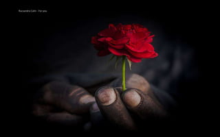 Rucsandra Calin - For you
 