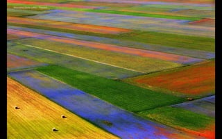 Massimo Della Latta - Tappeti
 