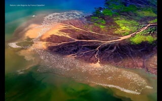 Nature: Lake Bogoria, by Franco Cappellari
 