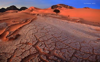 Yury Pustovoy - Sahara
 