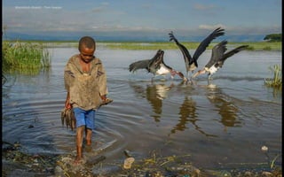 Mamdooh Alsaleh - Tom Sawyer
 