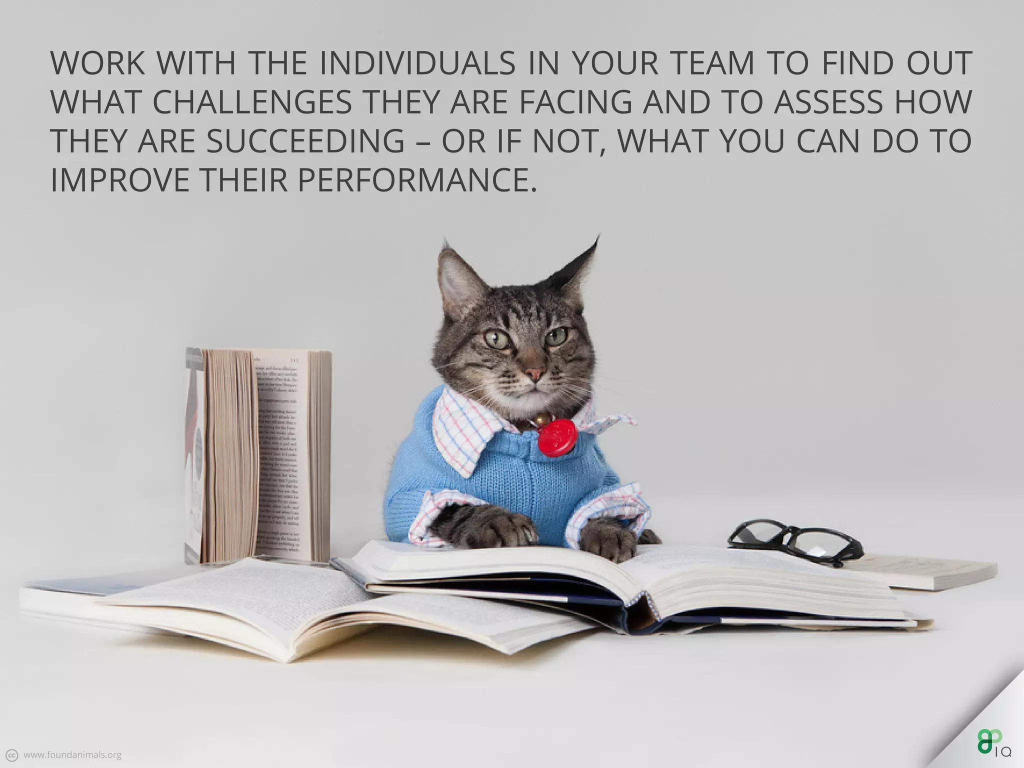 Work with the individuals in your team to ﬁnd out what challenges
they are facing and to assess how they are succeeding – or if not,
what you can do to improve their performance.
 