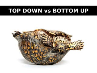 TOP DOWN vs BOTTOM UP
 