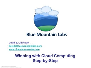 David S. Linthicum
                           david@bluemountainlabs.com
                           www.bluemountainlabs.com


                                                Winning with Cloud Computing
                                                        Step-by-Step
© 2006 The Linthicum Group. All Rights Reserved.
Reproduction without prior written permission is strictly prohibited.
 