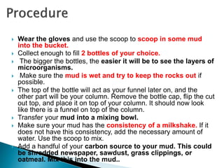  Wear the gloves and use the scoop to scoop in some mud
into the bucket.
 Collect enough to fill 2 bottles of your choice.
 The bigger the bottles, the easier it will be to see the layers of
microorganisms.
 Make sure the mud is wet and try to keep the rocks out if
possible.
 The top of the bottle will act as your funnel later on, and the
other part will be your column. Remove the bottle cap, flip the cut
out top, and place it on top of your column. It should now look
like there is a funnel on top of the column.
 Transfer your mud into a mixing bowl.
 Make sure your mud has the consistency of a milkshake. If it
does not have this consistency, add the necessary amount of
water. Use the scoop to mix.
 Add a handful of your carbon source to your mud. This could
be shredded newspaper, sawdust, grass clippings, or
oatmeal. Mix this into the mud..
 