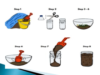 WINOGRADSKY'S COLUMN.pptx