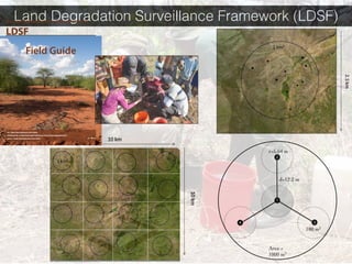 Leigh Winowiecki FTA Side event 