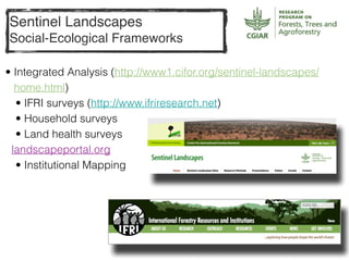 Leigh Winowiecki FTA Side event 