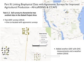 Toward Integrated Analysis of Socio- Ecological Data for Improved Targeting of Resilient Farming Systems - Leigh Winowiecki