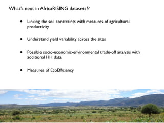 Toward Integrated Analysis of Socio- Ecological Data for Improved Targeting of Resilient Farming Systems - Leigh Winowiecki