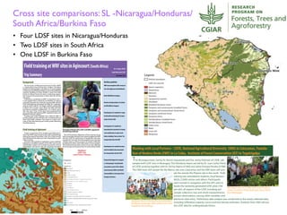 Toward Integrated Analysis of Socio- Ecological Data for Improved Targeting of Resilient Farming Systems - Leigh Winowiecki