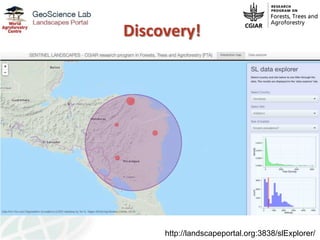A Scientist's Perspective on Open Access and Data Management by Leigh Winowiecki