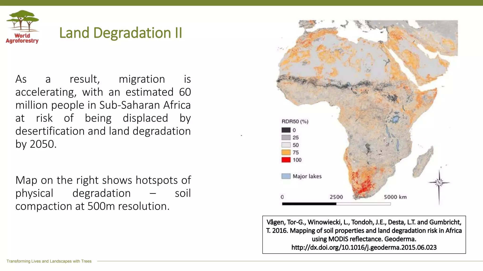 Transforming Lives and Landscapes with Trees
Land Degradation II
As a result, migration is
accelerating, with an estimated 60
million people in Sub-Saharan Africa
at risk of being displaced by
desertification and land degradation
by 2050.
Map on the right shows hotspots of
physical degradation – soil
compaction at 500m resolution.
 