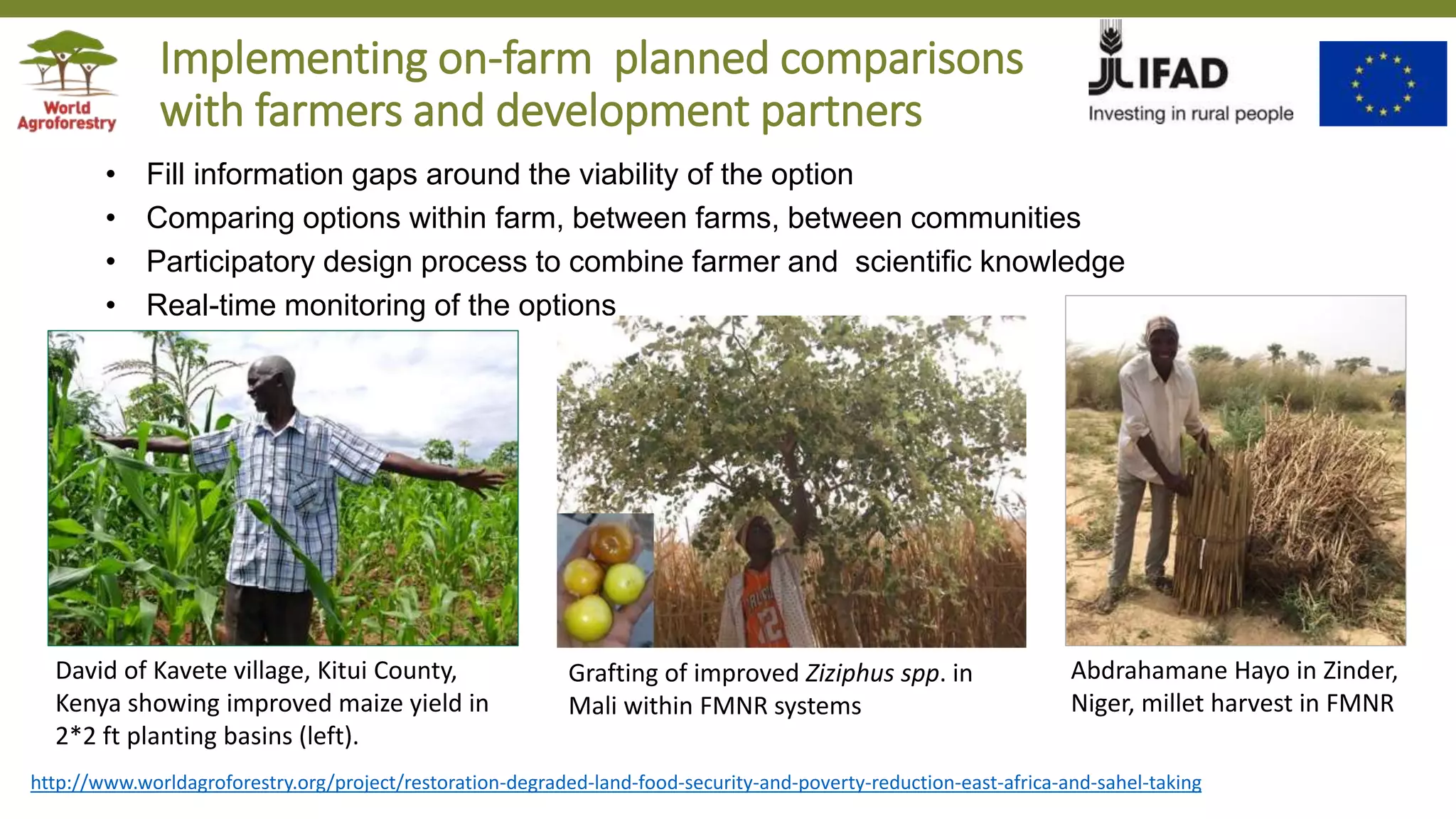 Transforming Lives and Landscapes with Trees
• Fill information gaps around the viability of the option
• Comparing options within farm, between farms, between communities
• Participatory design process to combine farmer and scientific knowledge
• Real-time monitoring of the options
Abdrahamane Hayo in Zinder,
Niger, millet harvest in FMNR
Grafting of improved Ziziphus spp. in
Mali within FMNR systems
http://www.worldagroforestry.org/project/restoration-degraded-land-food-security-and-poverty-reduction-east-africa-and-sahel-taking
Implementing on-farm planned comparisons
with farmers and development partners
David of Kavete village, Kitui County,
Kenya showing improved maize yield in
2*2 ft planting basins (left).
 