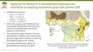 Applying the Research in Development Approach to Scale Restoration