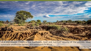 Transforming Lives and Landscapes with Trees
Land degradation threatens the livelihoods, food and nutrition security of th...