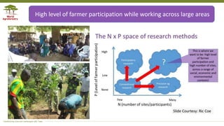 Applying the Research in Development Approach to Scale Restoration